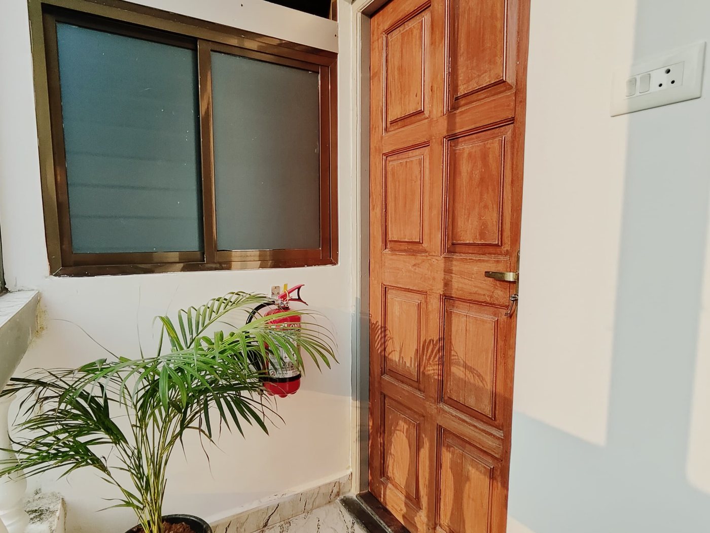 Your own door, a plant, and the evening sun.