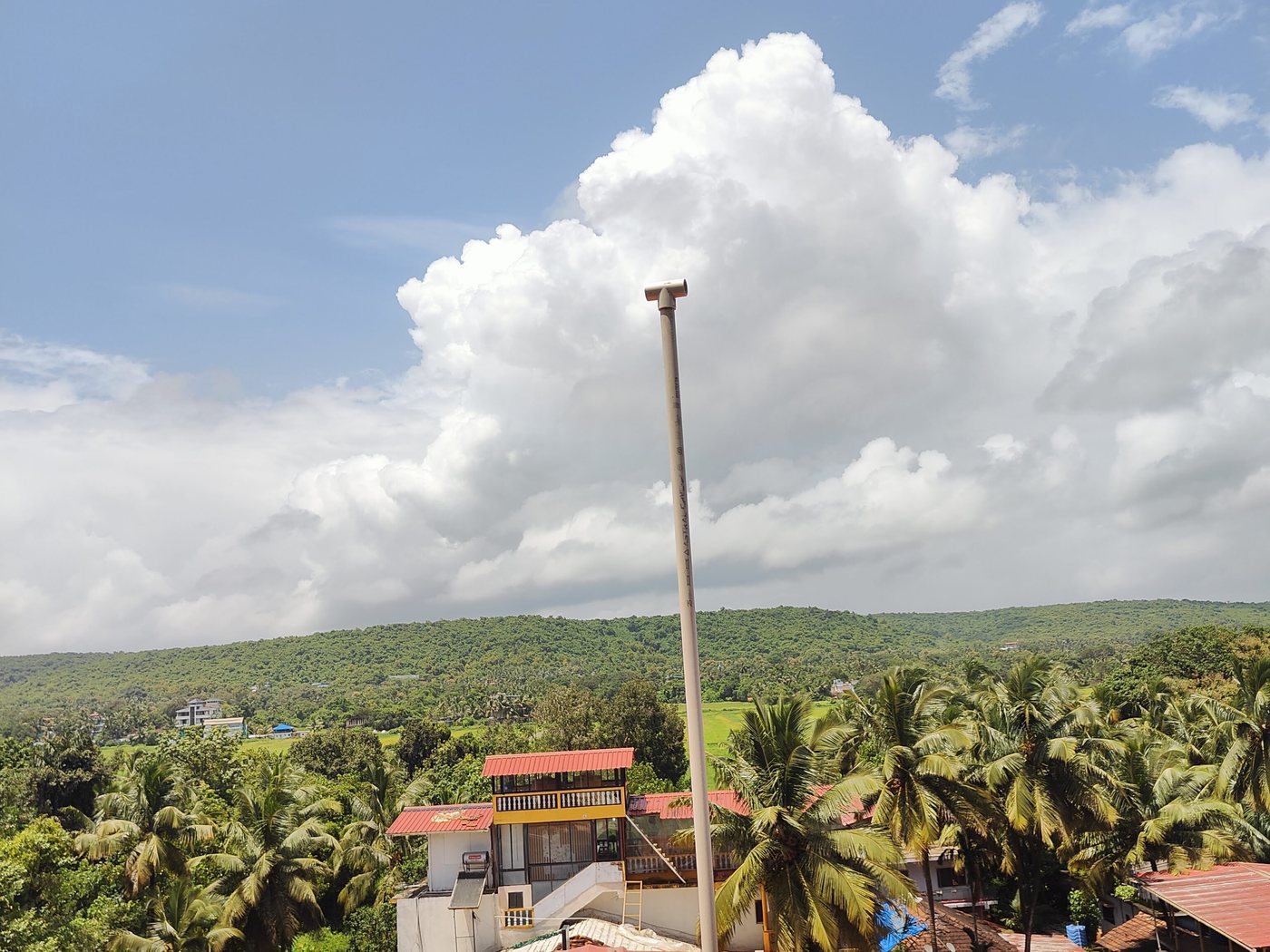 The view from the roof: palms, paddy and the Pernem hills.